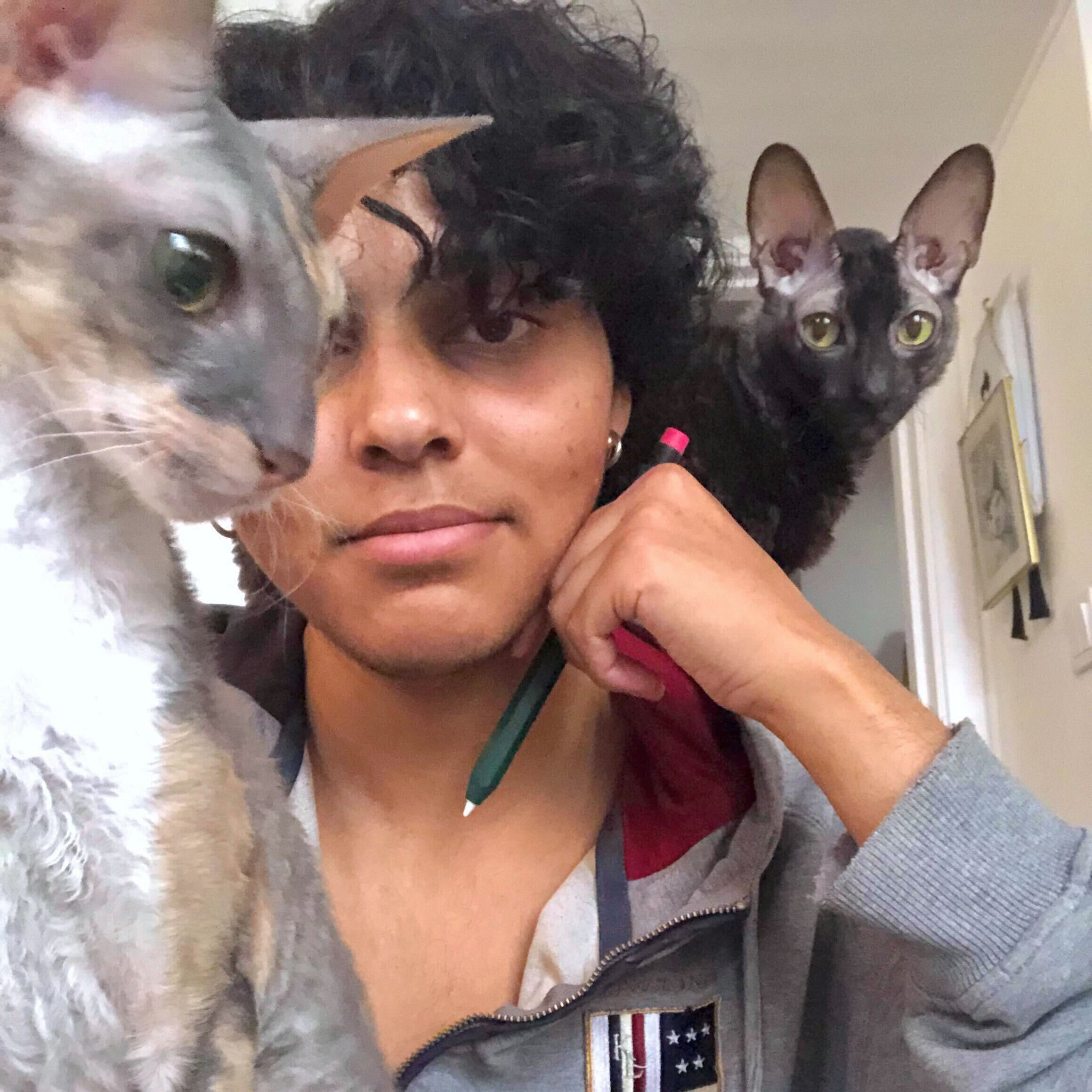 スベドルンド アベレイレ ノア